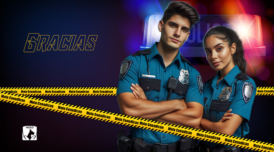 Locución profesional para videos, eLearning y cápsulas de capcitación - Molocenadican